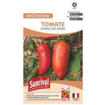 Graines Tomate Cornue des Andes