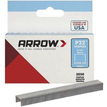 Caja de 5000 grapas P22 de 8 mm - Arrow