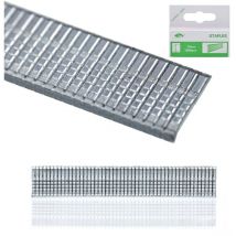 Dreame - Grapas Taker - Tipo t 10mm 1000 uds.