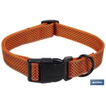 Orangefarbenes Hundehalsband Roma Modell 2,5x45-70