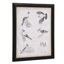 Decoration D ’ Autrefois - Gravure Ancienne Noir - Interior's