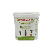 Greenplant, NPK(Mg) 6-21-36+(3) + microelementi (1 kg), concime in polvere idrosolubile per piante e fiori