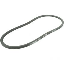 Greenstar, 11679, Greenstar 11679 Mitsuboshi spz 612 cinghia, liscio, trapezoidali, 10 x 8 x 625 mm