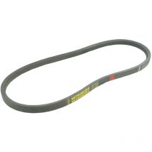 Outdoor Power Sport - Greenstar - Z31 - Cinghia liscia serie z (sezione 10 x 6 mm) Lunghezza esterna: 828 mm. Sostituisce originale ayp 196853.