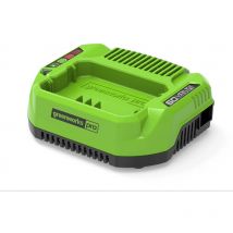 Greenworks - Chargeur de batterie G60UC (Li-Ion 60V sortie 120W/2A adapté à toutes les batteries de la série 60V) (2932007)