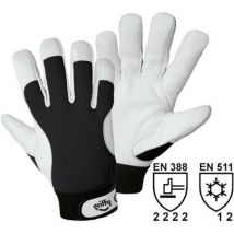 L+d Griffy - Leipold Doehle 1707-10 Nappaleder Montagehandschuh Größe (Handschuhe): 10, xl en 397 cat ii 1 Paa