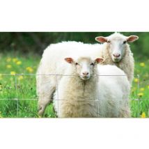 Moreda Riviere - Grillage noué léger 95/9/15 type 'mouton' - Galvanisation riche - Rouleau de 50 m