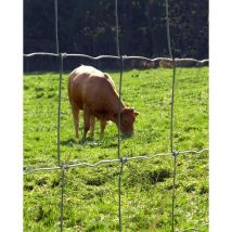 Moreda Riviere - Grillage noué lourd 124/9/15 type 'Bovin'- Galvanisation riche - Rouleau 50 m