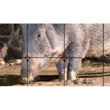 Grillage noué lourd 140/11/15 - Galvanisation riche