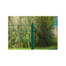 Grillage axial promo vert-1m00-20ml
