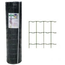 Grille Rex Zn+P 100X50-2.50 h 80 m 25 Trex 04282