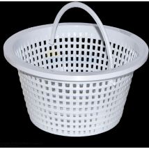 Große Skimmer Coral