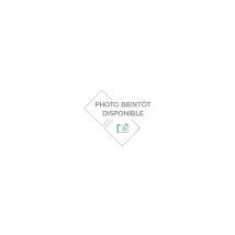 Groupe de transfert 230V 50L/M eau & produits chimiques Renson