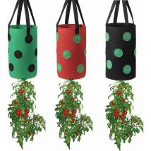 Grow bag for planting strawberries and tomatoes