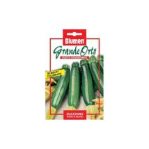 Grüne Zucchinisamen aus Mailand