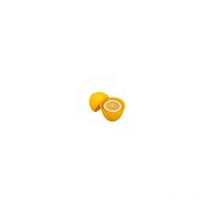 Guarda limones 782500