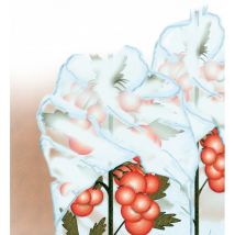 Bauherr - Guardia del tomate 0,8x10m 17g/m2, blanco, sb