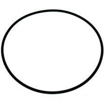 Guarnizione coperchio filtro piscina Balear, Artik by Kripsol .