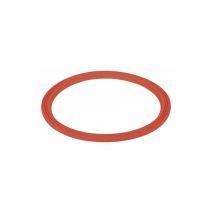 Guarnizione recuperatore condensa - de dietrich chappee : 7795989