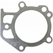 RAG - Guarnizione testa Motori da spazzaneve 21M114, 21M314 -320365