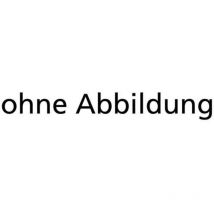 Günzburger Steigtechnik Leiterverbindungen Zum Verlängern Für Schachtleiter Aus Stahl Und Va - 062020