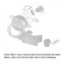 PLAQUE MICA, Micro Ondes, 481244229283