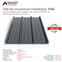 Bravo The Smart Solution - Tôle bac acier - Toiture - Couverture - plaque TR45 Coloris Gris Anthracite ral 7016 Dimensions 2000x1050x0.50mm
