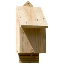 Habitat simple pour Chauve-souris