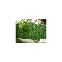 Gamme haie feuilles de lierre 1,50mx3m