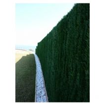 Haie '126 ultra' Jet7garden Vert 1m20x3 m
