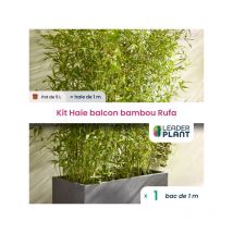 Leaderplant.com - Haie Brise-vue Balcon Bambou 'rufa' en kit