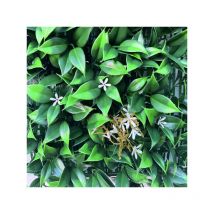 Haie de jasmin artificielle 1x1 m