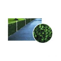 Haie de lierre h 150 m 3 Ilcampo 03474