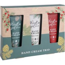 Handpflegeset de Winter Trost, 3 Tuben de Creme. basics