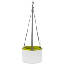 Hängeampel Berberis 30 cm weiß/grün mit Bewässerung