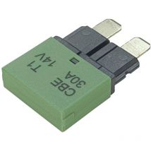 CBE1-3014 Interruttore automatico fusibile piatto standard 30 a Verde 1 pz. - Hansor