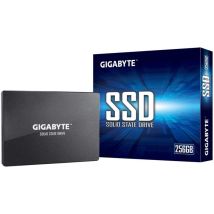 Gigabyte Gp-gstfs31256gtnd Rpm 256 Gb Interfaccia Ssd Sata Velocità Di Lettura 520 Mb/s Velocità Di Scrittura 500 Mb/s