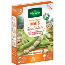 Vilmorin - Haricot Grimpant à Ecosser Maïs (type Tarbais) - 10 m