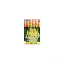 Haricot nain mangetout beurre Serpedor à gousses plates - 70g