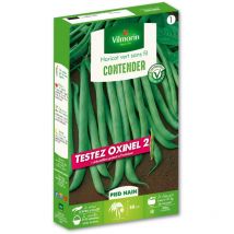 Vilmorin - Haricot Nain Vert Contender + échantillon Oxinel 2
