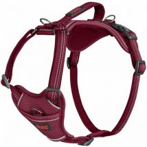 Harnais Anatomy Halti Magenta - Taille m