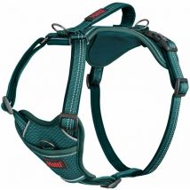 Harnais Anatomy Halti : Vert - Taille XL