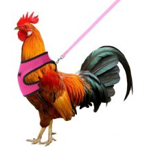 Harnais avec laisse réglable et respirant pour poules, animaux domestiques, canard, oie, promenade, taille M (rose)