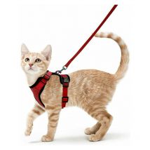 Er-siice - Harnais Chat Petit Chien Laisse Harnais Chaton Réglable Rouge Collier Harnai Chat Refléchissant Gilet Respirant pour Lapin, Chat Européen,