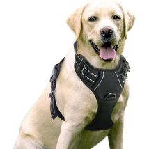 Harnais Chien Anti Traction, Arnet Pour Chien Facile À Mettre Harnais Réfléchissant Réglable Avec Attache Devant Harnais Pour Chien Moyen, Large, 