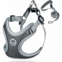 Fei Yu - Harnais Chien Harnais Anti Traction pour Chien Harnais pour Chien Petite Rglable Respirant(S)