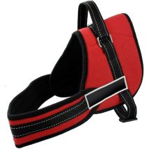 Mediawave Store - Harnais de chien rembourré réglable pour l'éducation de la formation Couleur: Rouge - Taille: m