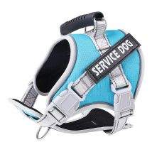 Ensoleille - Harnais de poitrine pour animaux de compagnie, Harnais pour chat et chien en daim ,Laisse pour chien en corde pour chien réfléchissante