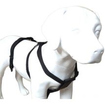 Animallparadise - Harnais de sécurité taille l pour chien en voiture
