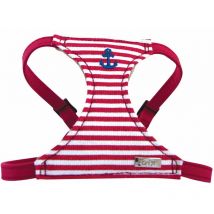 Harnais chien Doogy Matelot Rouge Taille : T2